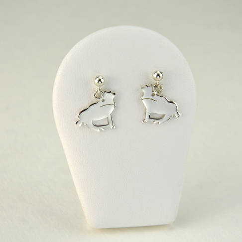 Princes charmants en boucles d'oreilles 