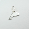 Charms Dauphin