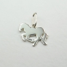 Charms Cheval